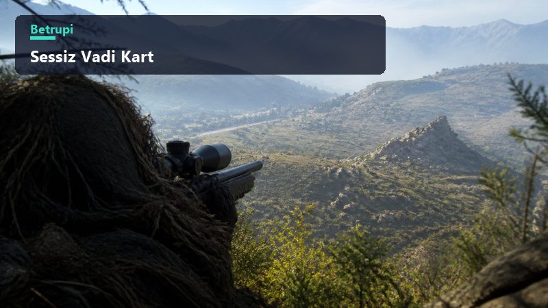 Sessiz Vadi gizlilik temelli nişancı oyununda görünmeden konumlanma